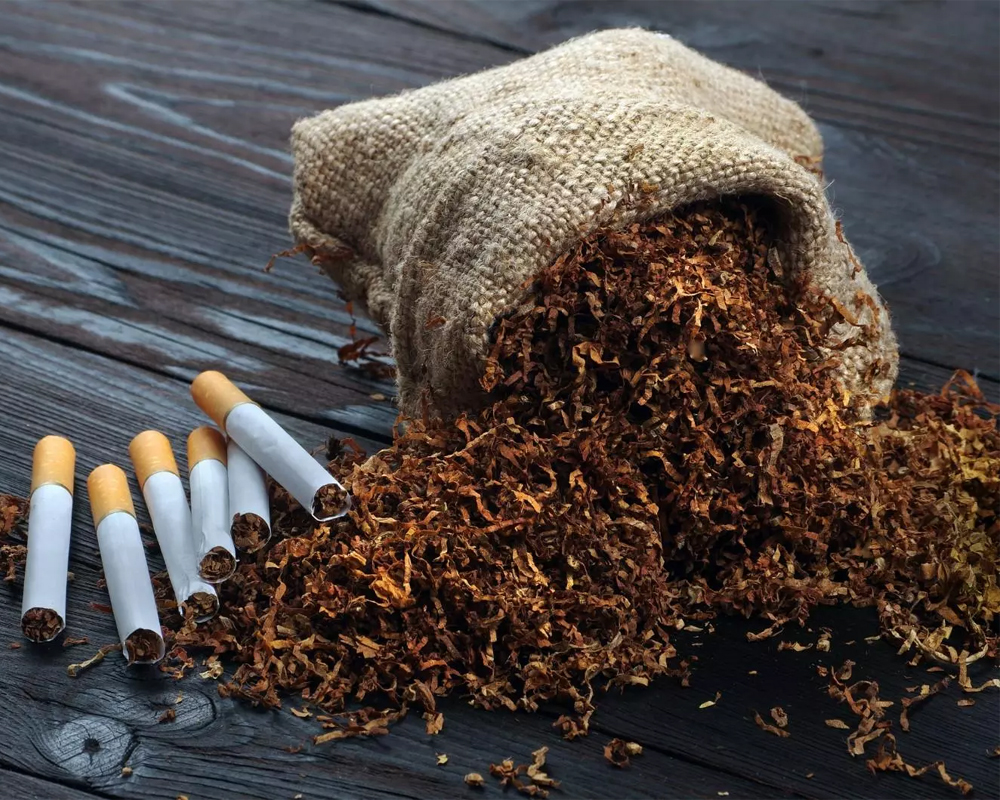 Bidi Patti — Raw Tobacco